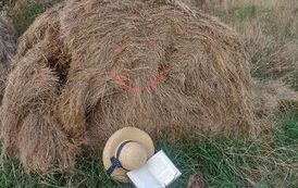 Zabierz książkę na wakacje 8